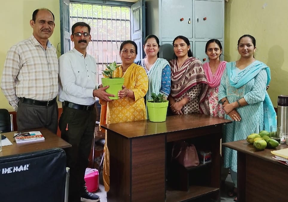 Plant being donated to college on birthday
